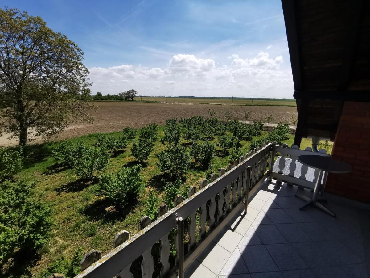 Kuca Za Odmor Bella Vila Sotin Exterior foto
