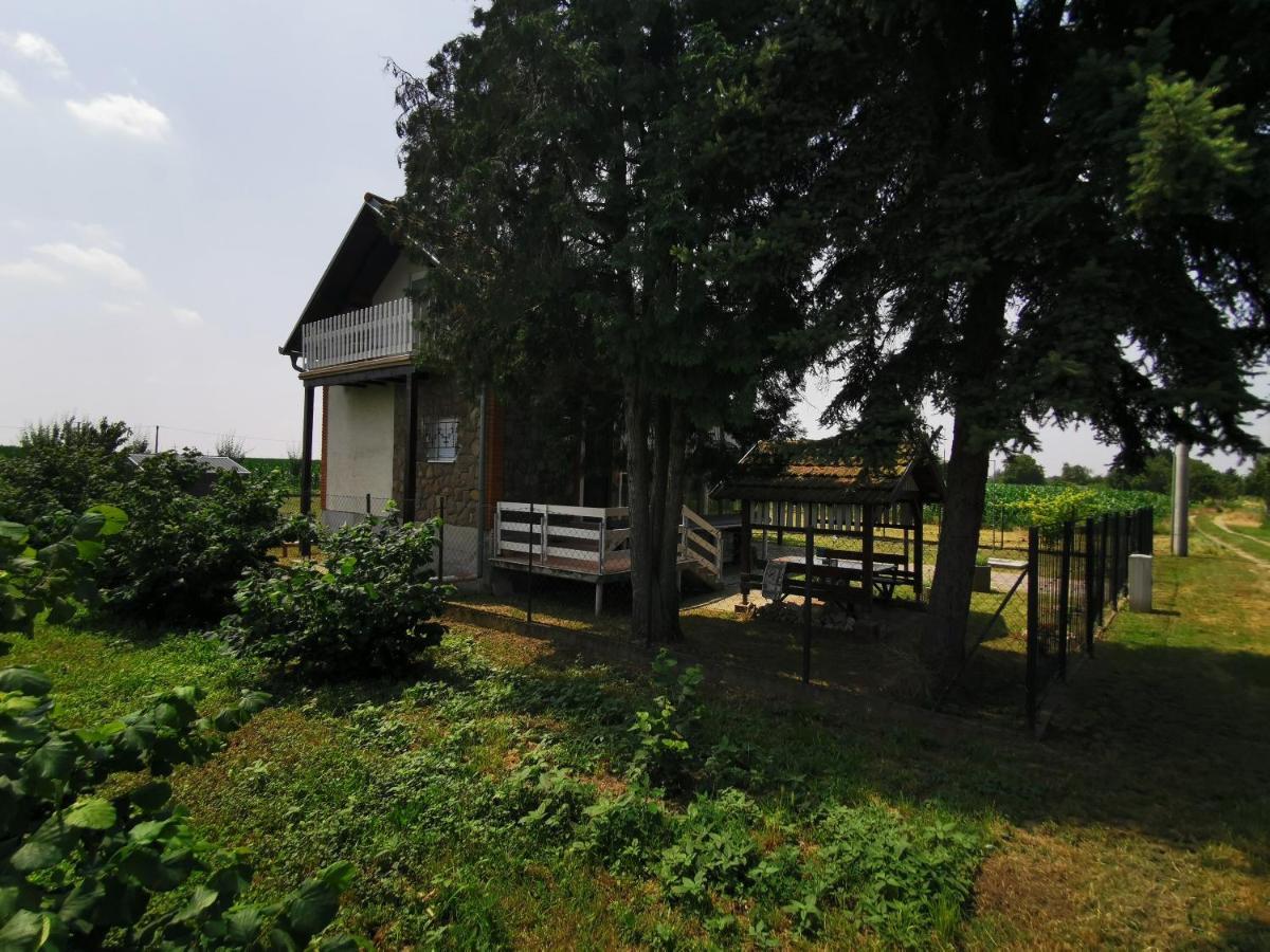 Kuca Za Odmor Bella Vila Sotin Exterior foto