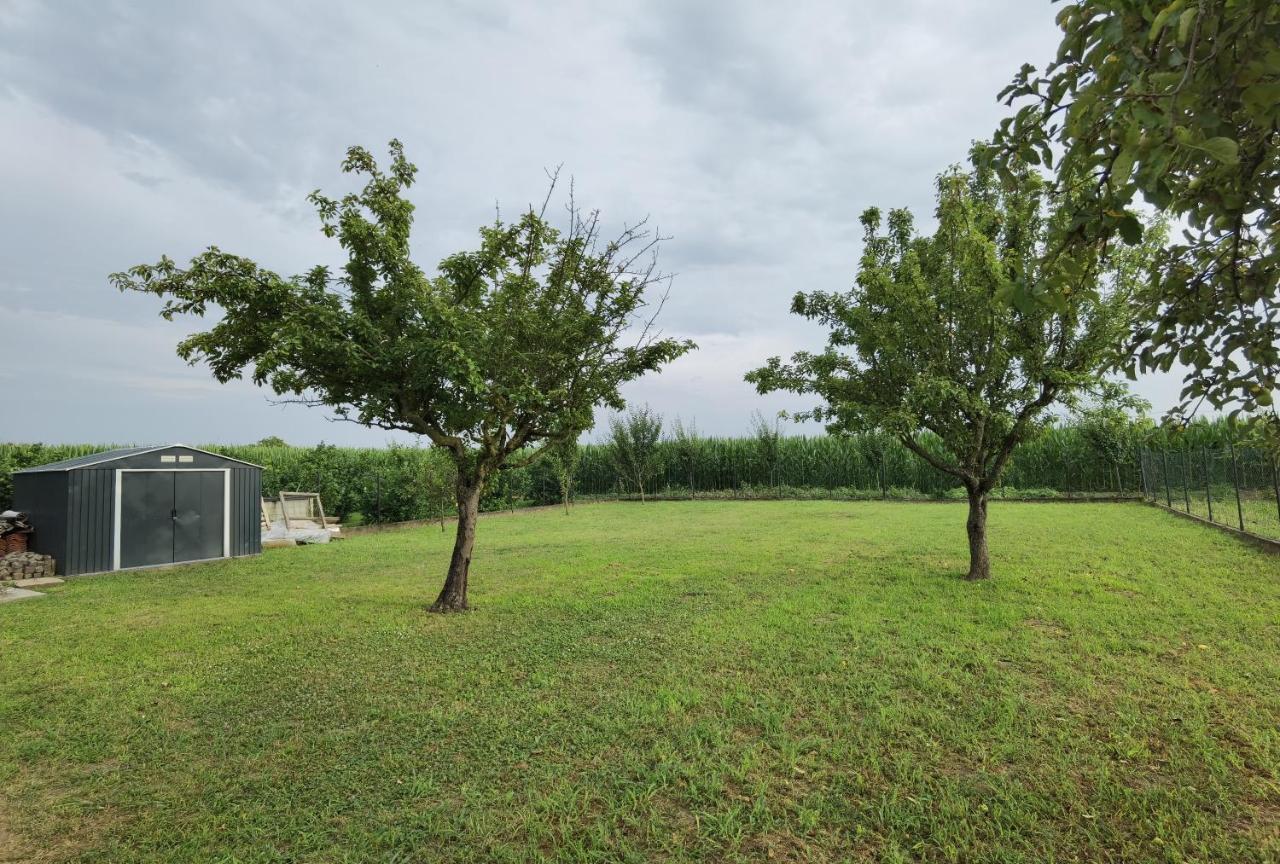 Kuca Za Odmor Bella Vila Sotin Exterior foto
